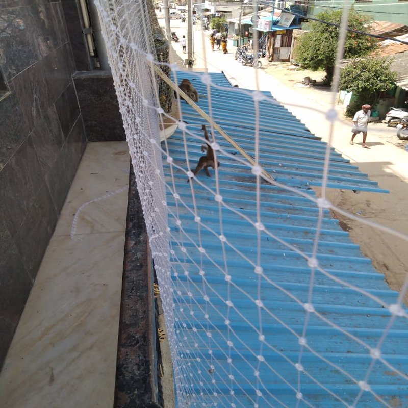 Building Glass Protection